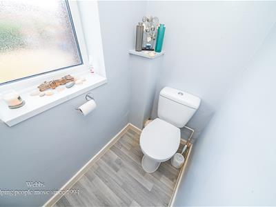 Picture 23